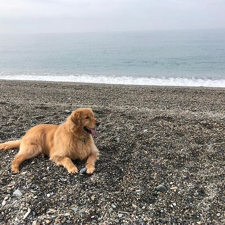 فندق H Boutique La Caleta Bay لا هيرادورا المظهر الخارجي الصورة